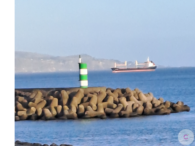 Dina Coelho (12).png