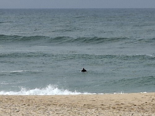 11a_Espinho (40).jpg