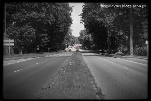 Estrada Versailles - Blog Das Palavras