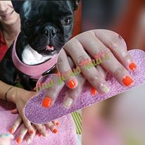 13494765_1234496603236439_3851541557705448887_n.jp 13494765_1234496603236439_3851541557705448887_n.jp