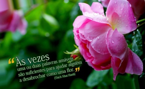 palavras_amaveis (2).jpg palavras_amaveis (2).jpg