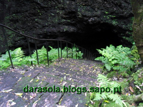 azores_pico_gruta_torres_06.JPG