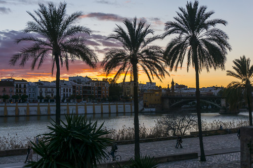 DSC02688.jpg DSC02688.jpg