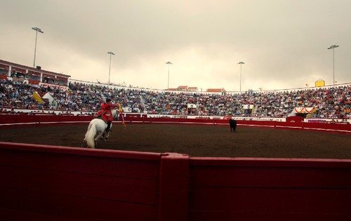 Tiago Pamplona, na actuação que lhe deu triunfo...