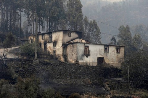 casas queimadas 2.jpg