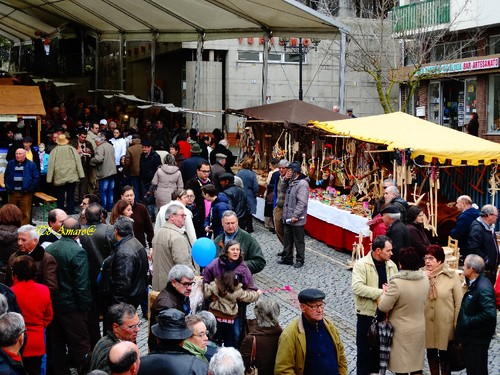 Feira do Queijo Em Seia !!! 233.jpg