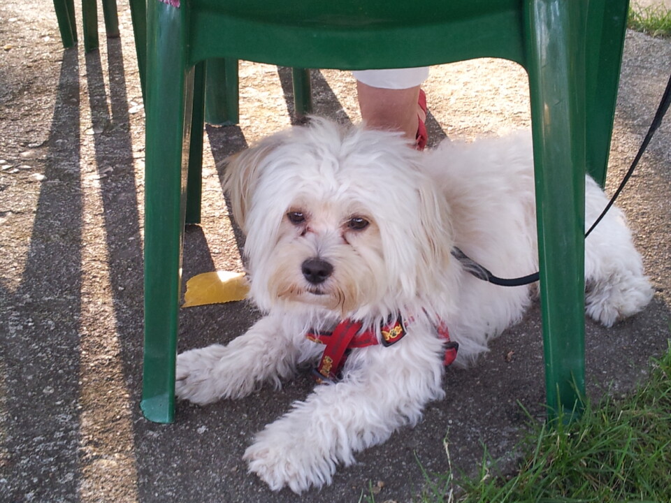 2011-07-23 18.51.13.jpg