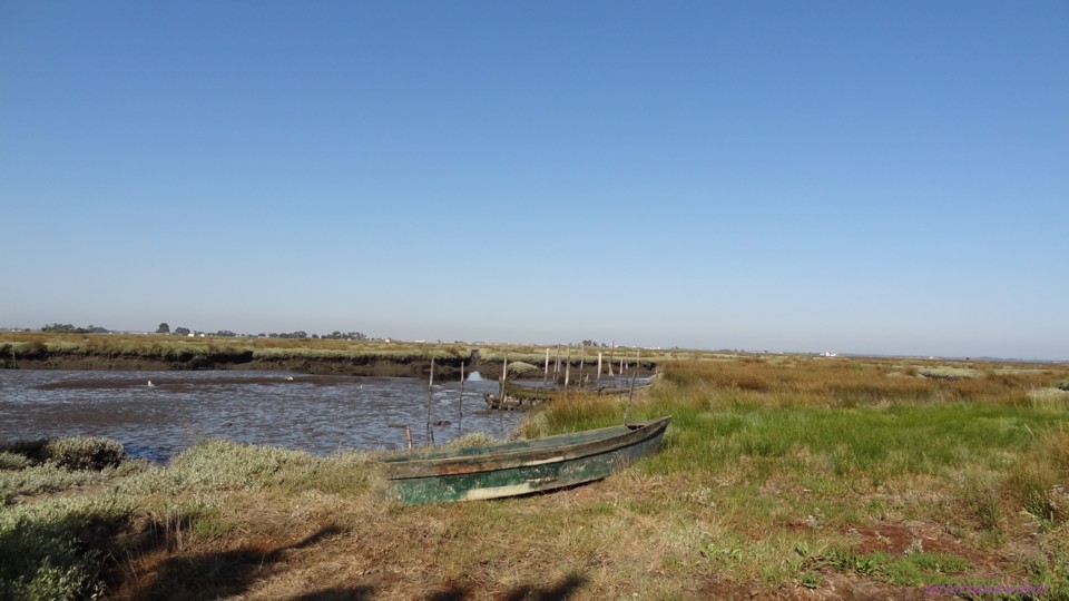 DSC07919.JPG DSC07919.JPG