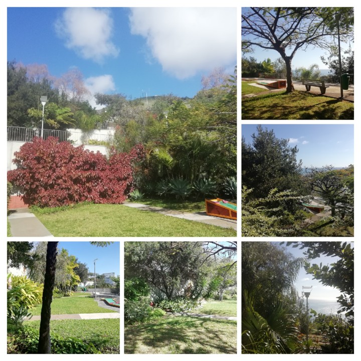 IMG_20210131_121220-COLLAGE.jpg IMG_20210131_121220-COLLAGE.jpg