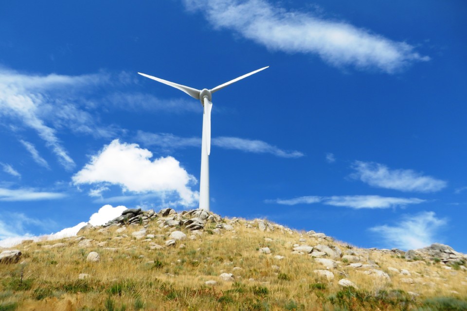 IMG_3354.JPG IMG_3354.JPG