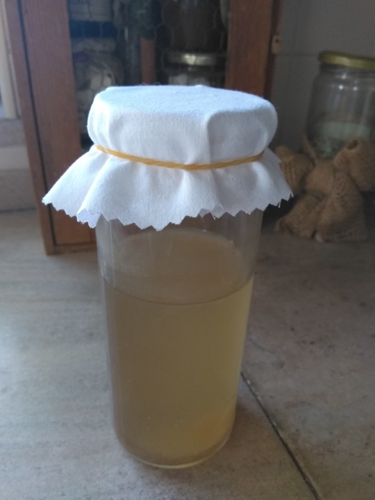 IMG_20191006_125820.jpg IMG_20191006_125820.jpg