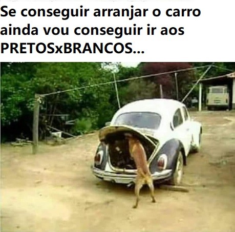 cao conserta carocha1.jpg