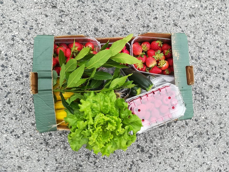 59728718_1364578127015278_6714048144469917696_n.jp