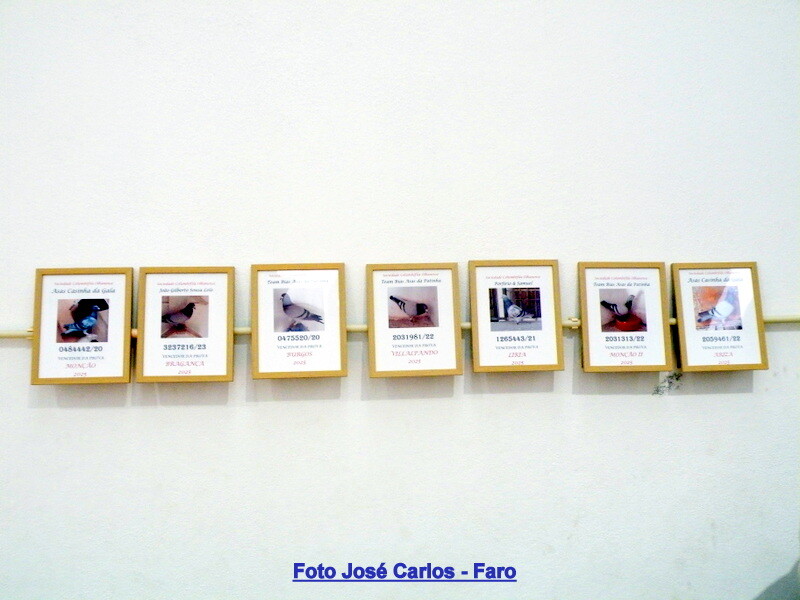 DSCF5012 - Cópia.JPG