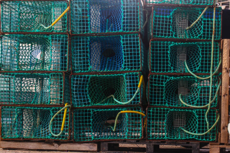 ericeira porto 13.jpg