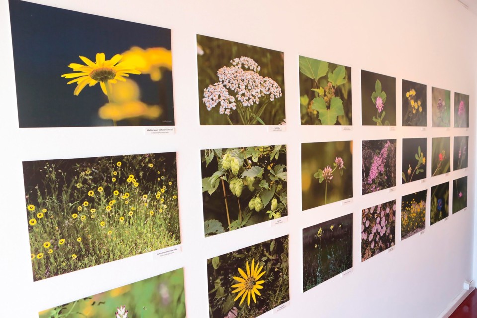 119113853_3229036927150814_6113886600898770324_o.j 119113853_3229036927150814_6113886600898770324_o.j