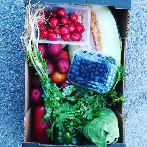 36288548_1126821174124309_2820650175997935616_n.jp