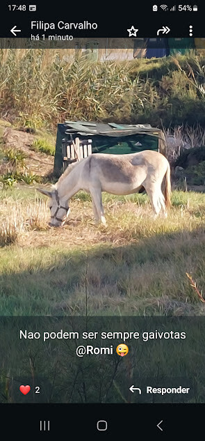 545999901_24730295526575348_8862726860099402245_n.