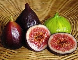 beneficios-dos-figos.jpeg beneficios-dos-figos.jpeg