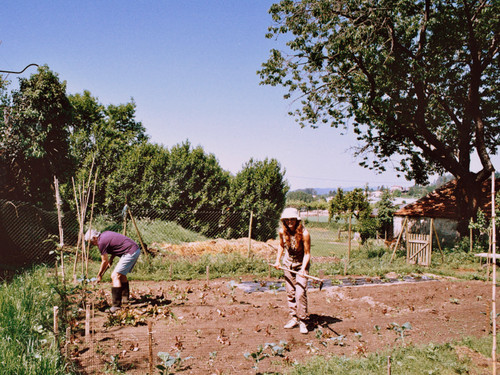 J:\FOTOS\V. N. FAMALICÃO\PINDELA\VINHAS, HORTAS E