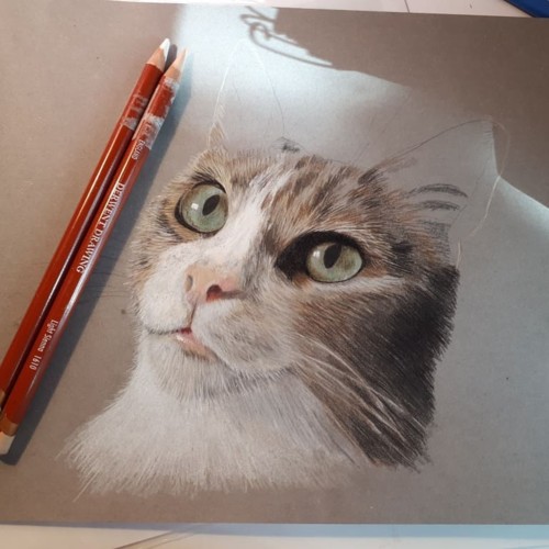 35507216_1509679752477306_2124520326179061760_n.jp