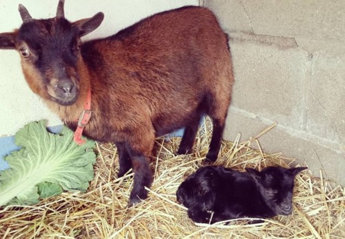 28783396_1779031052128894_4108902482197628670_n.jp