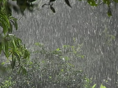 CHUVA1.jpg CHUVA1.jpg