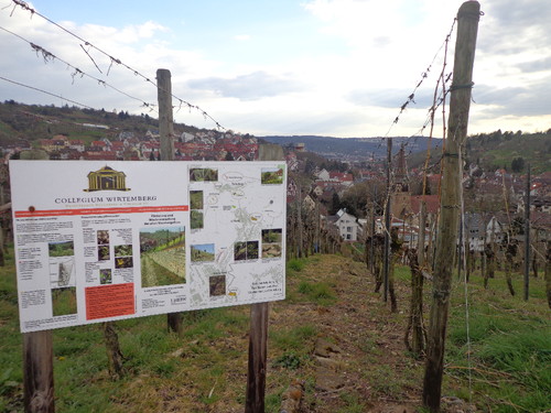 DSC03527.JPG DSC03527.JPG