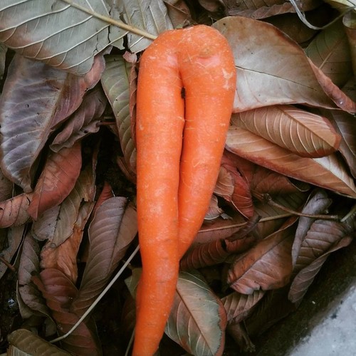 13178928_701806643292433_8743948924592475783_n.jpg 13178928_701806643292433_8743948924592475783_n.jpg