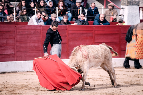 sergio nunes_DSF6465.jpg