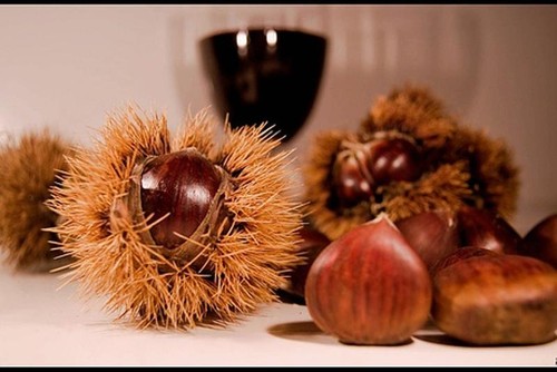 sabores_de_sao_martinho.jpg sabores_de_sao_martinho.jpg