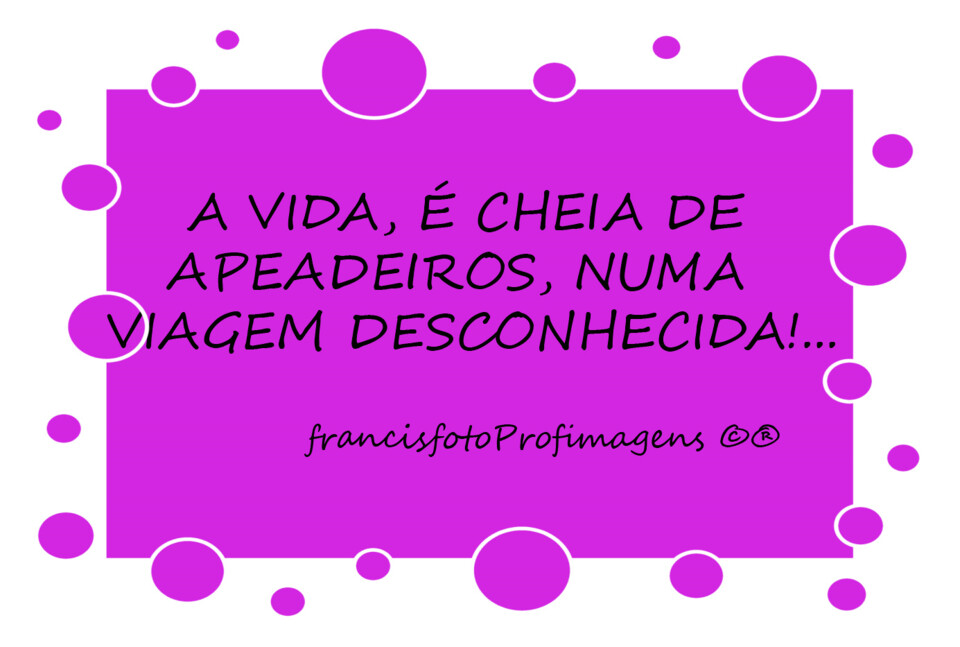 Vidas entre paragens....jpg