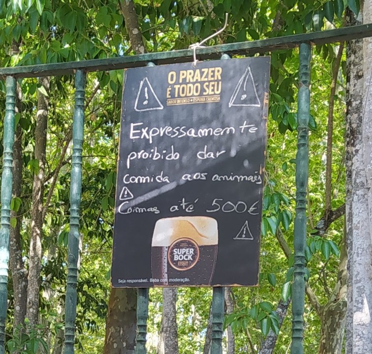 animais.jpg animais.jpg