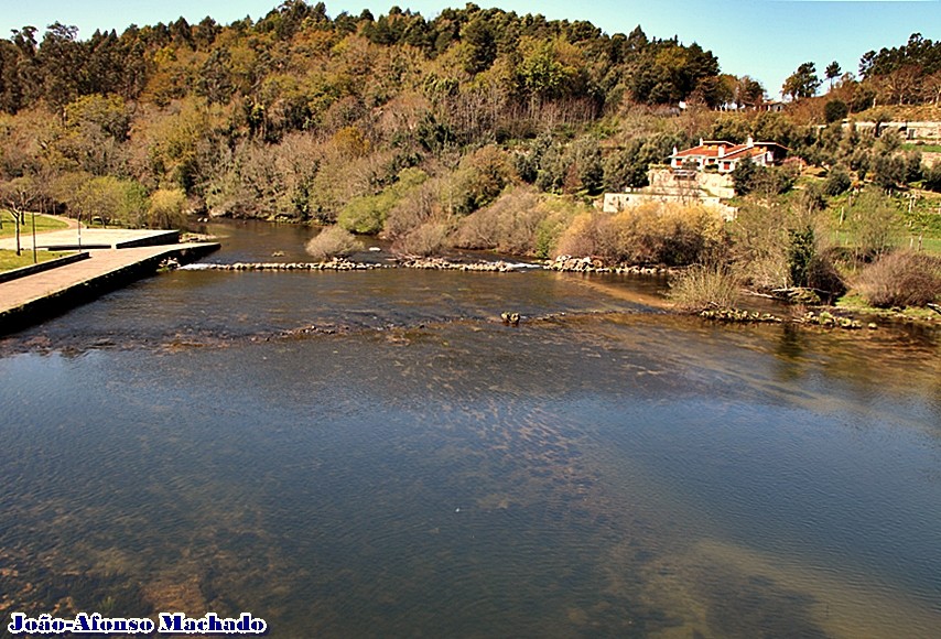LIMA A JUSANTE DA PONTE.JPG