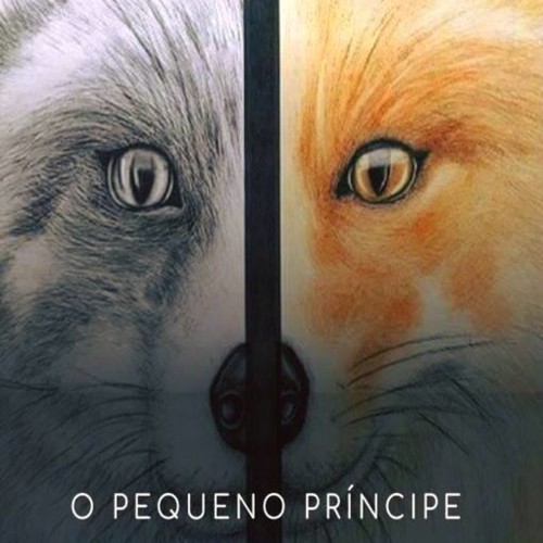 O Pequeno Príncipe.jpg