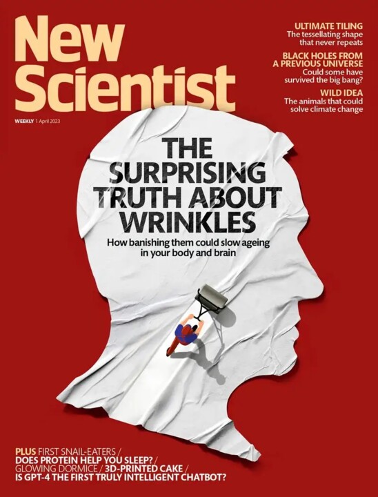 A capa da New Scientist.jpg