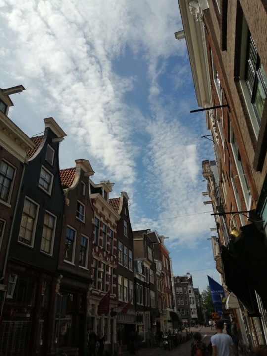 IMG_20200719_110815.jpg IMG_20200719_110815.jpg