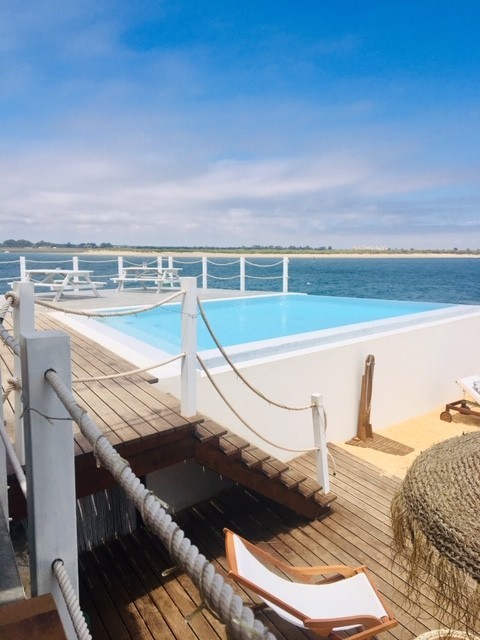 IMG_5664.jpg IMG_5664.jpg