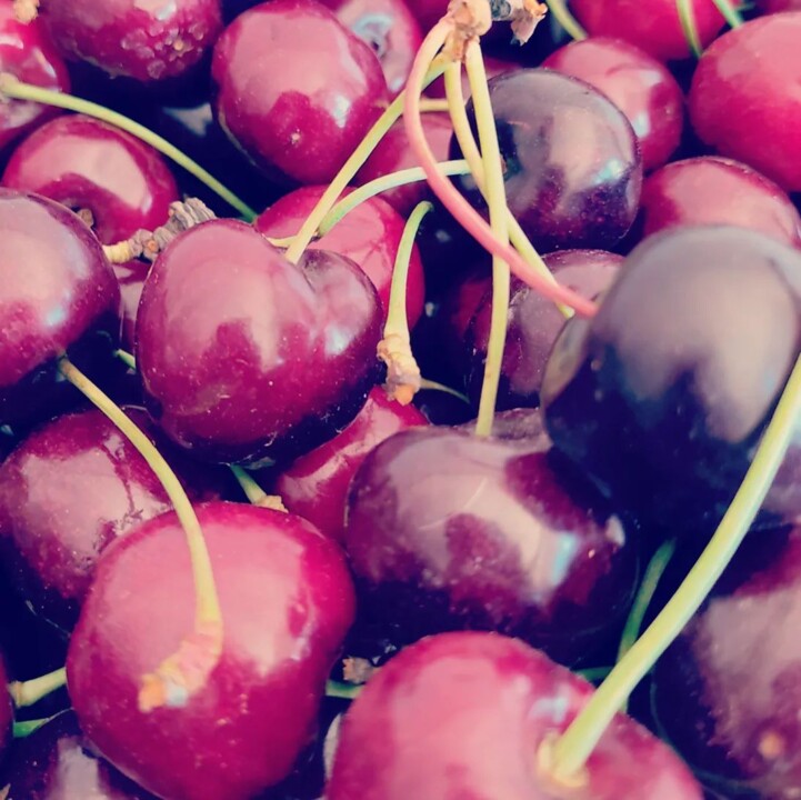 290612442_2349135341892880_5165979717020538362_n.j