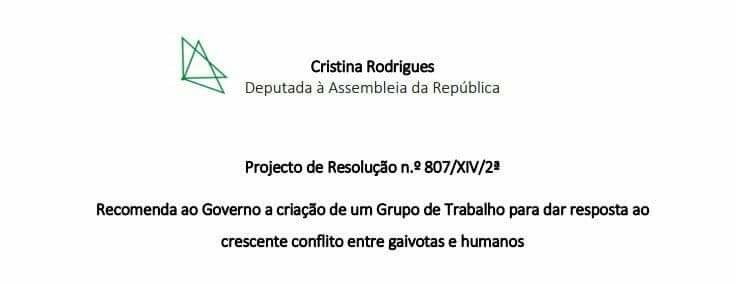 FB_IMG_1608230400926.jpg FB_IMG_1608230400926.jpg