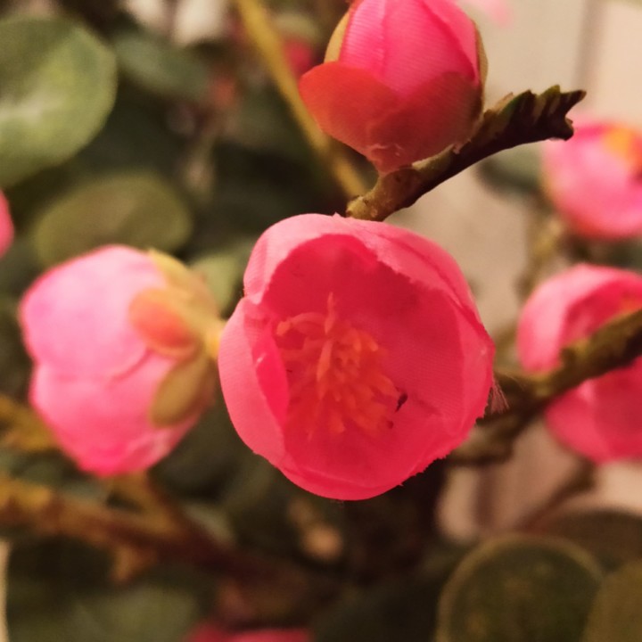 277127867_541777850588061_2330256393008281604_n.jp