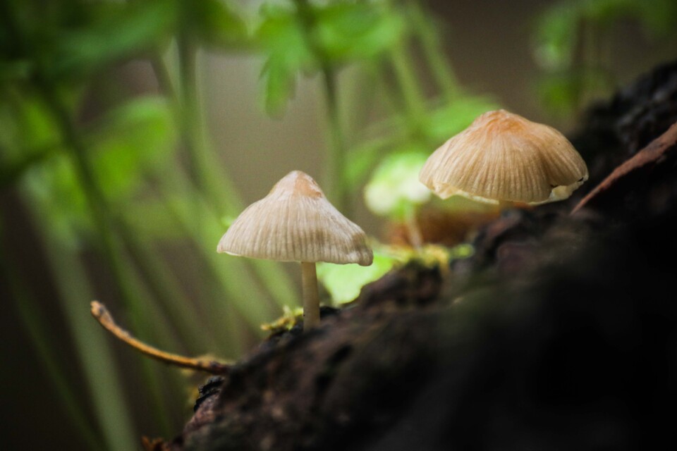 praia grande 11 a.jpg