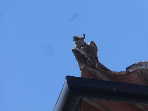 29a_Património_OAz (82).JPG