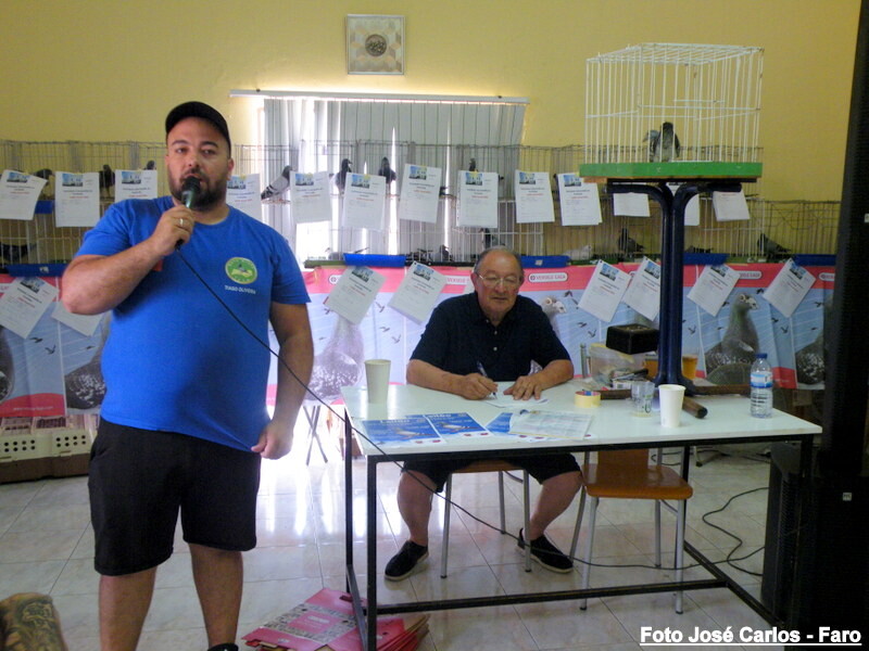 DSCF5045 - Cópia.JPG