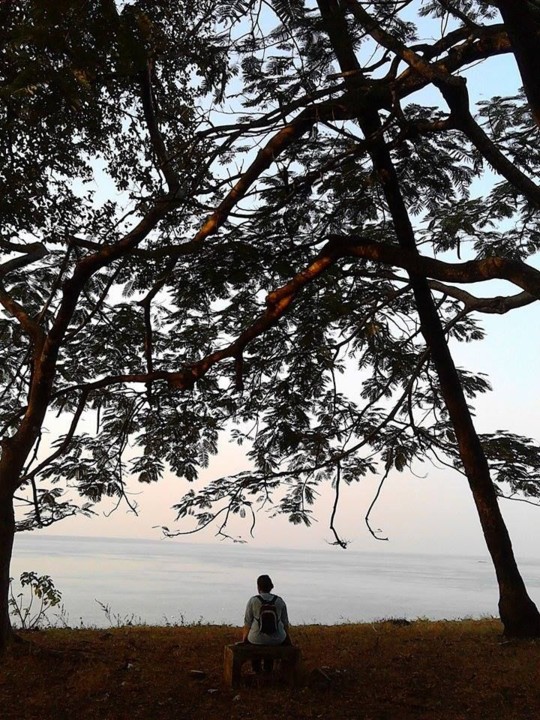 12596122_10207527274514546_1626564714_n.jpg 12596122_10207527274514546_1626564714_n.jpg