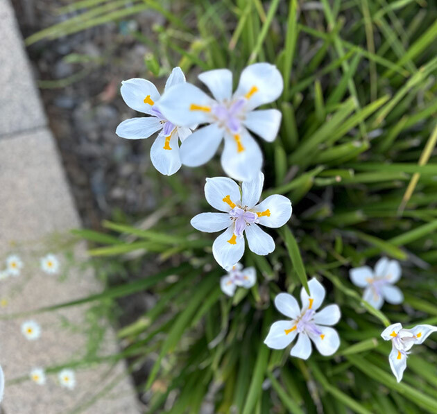 thumbs.web.sapo.io - cópia 3.jpeg