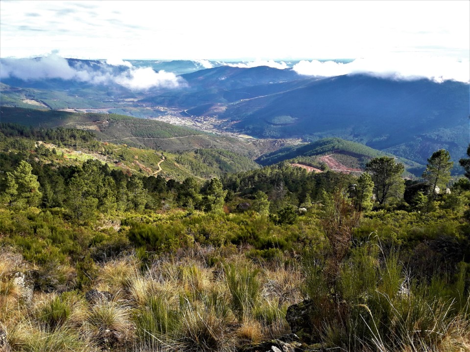 PAISAGEM VERDELHOS.jpg