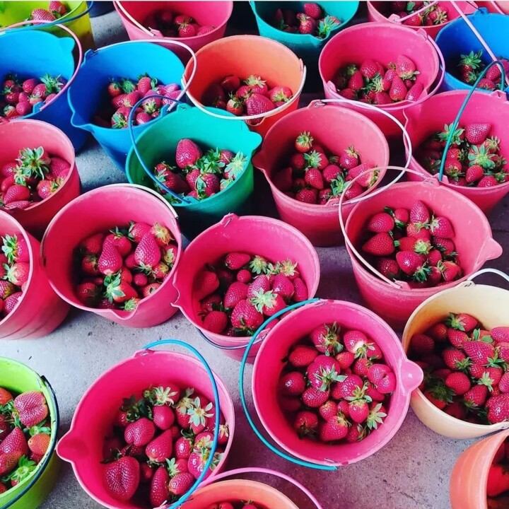 283183303_2314539442019137_4178812290505680884_n.j