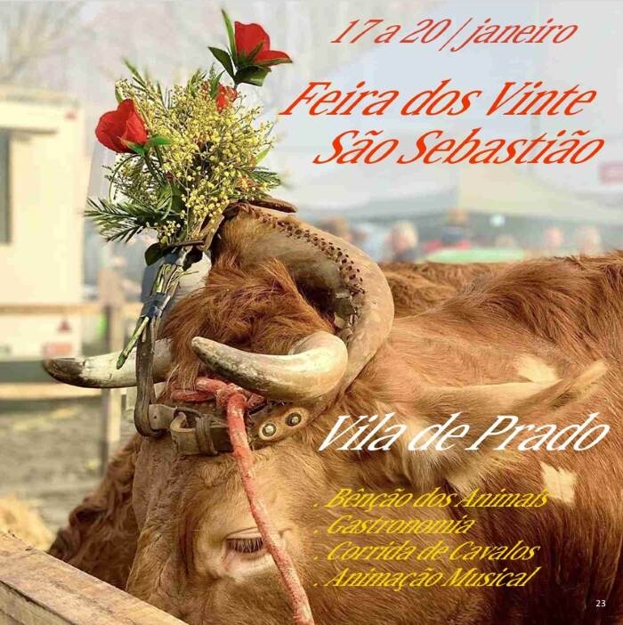 Captura de ecrã_8-1-2026_235051_.jpg