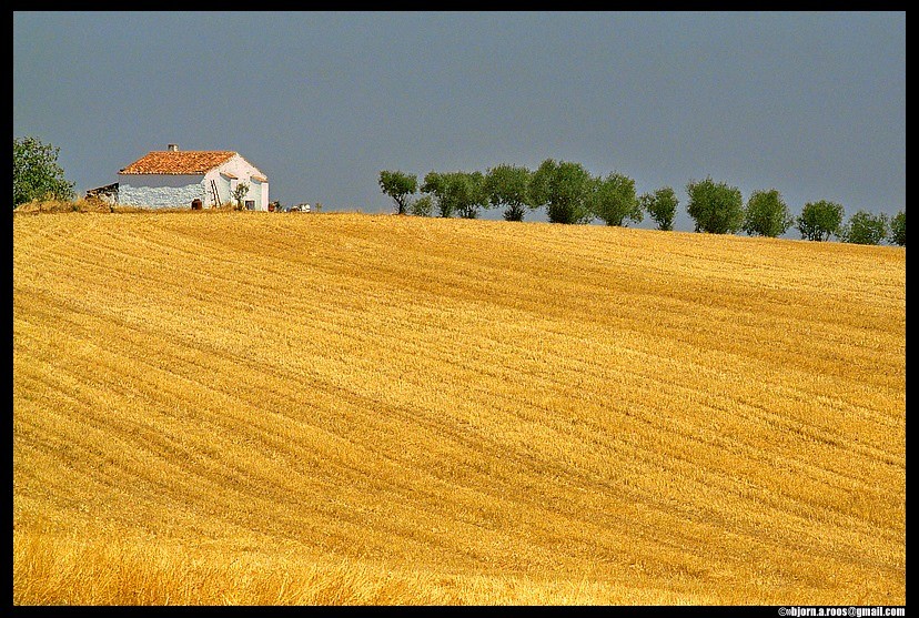 104218458_3038009629620249_3375373546583036716_n.j